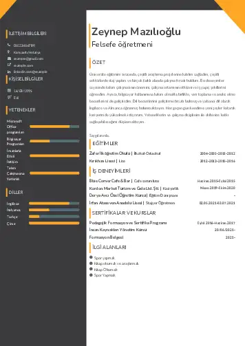 Felsefe Öğretmeni CV Örnekleri cv indir